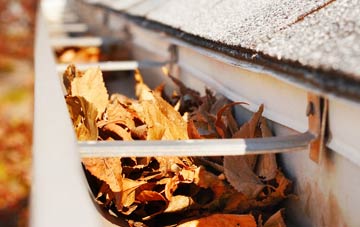 Shaugh Prior gutter cleaning companies