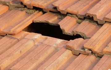 roof repair Shaugh Prior, Devon