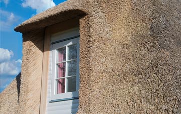 Shaugh Prior thatch roof disadvantages